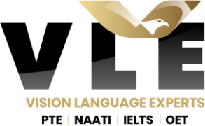 vision language Logo