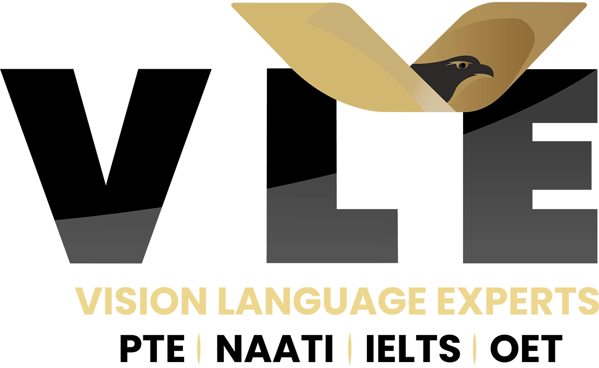vision language Logo